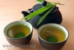 الشاي الأخضر أهميته - كيفية تناوله - مضاره